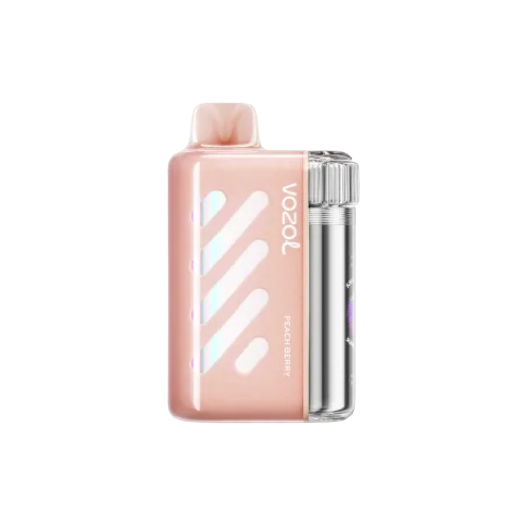 Vozol Vista 40000 | Passionfruit Raspberry Tangerine