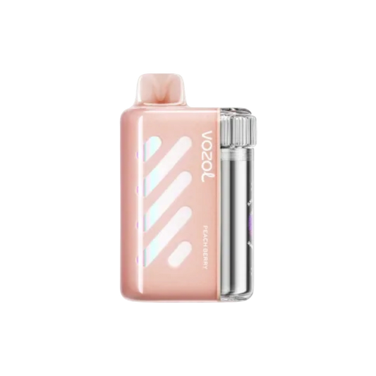 Vozol Vista 40000 | Juicy Peach