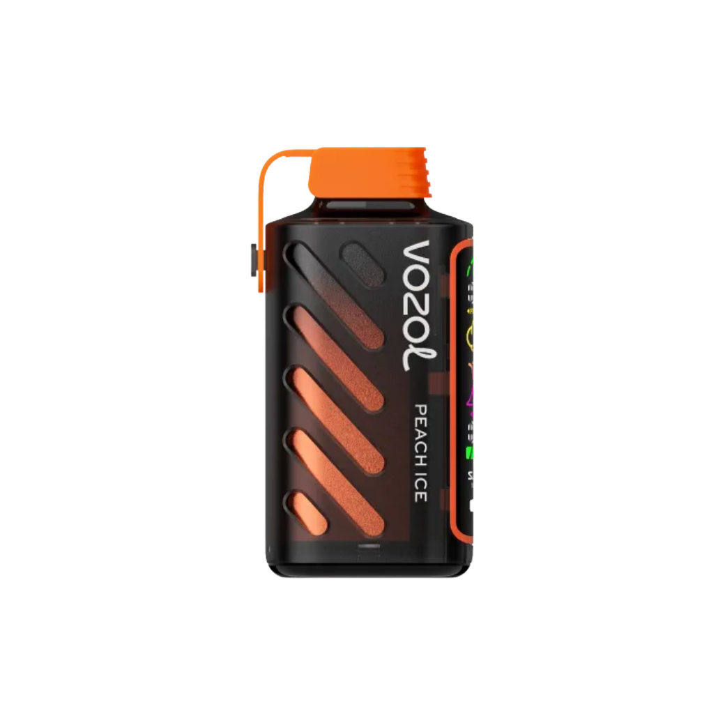 Vozol Gear Power 20000 | Peach Ice