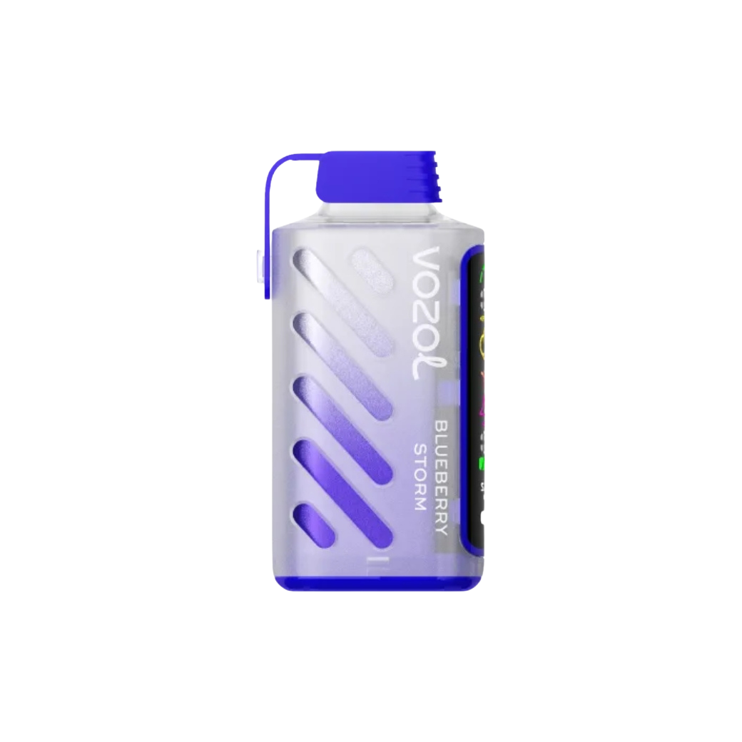 Vozol Gear Power 20000 | Blueberry Storm