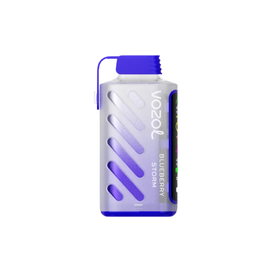 Vozol Gear Power 20000 | Blueberry Storm