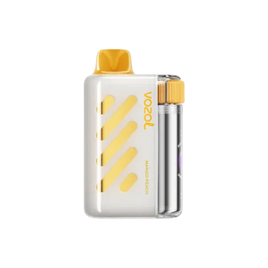 Vozol Vista 40000 | Mango Peach